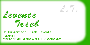 levente trieb business card